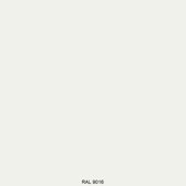 RAL 9016
