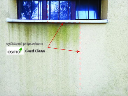 OSMO - GARD CLEAN ODSTRAŇOVAČ ZELENÉHO POVLAKU